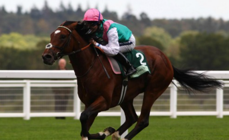 Fun Facts Kids Will Love About Racing